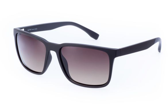 Сонцезахисні окуляри StyleMark L2511D