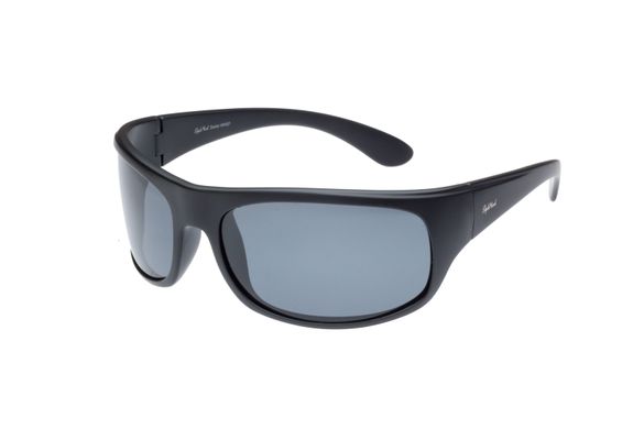 Сонцезахисні окуляри StyleMark L2538A