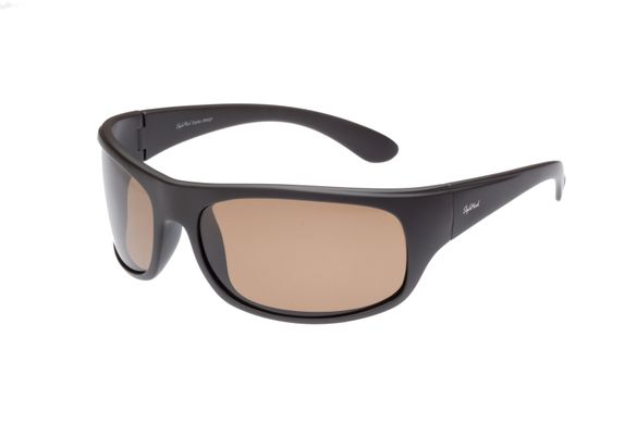 Сонцезахисні окуляри StyleMark L2538B