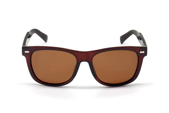 Солнцезащитные очки Maltina форма Вайфарер (56032 2)