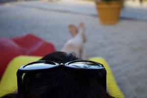 З яких причин краще відмовитися від носіння сонцезахисних окулярів на голові - Maltina Accessories — інтернет-магазин модних аксесуарів